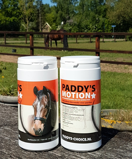 Paddy's Motion