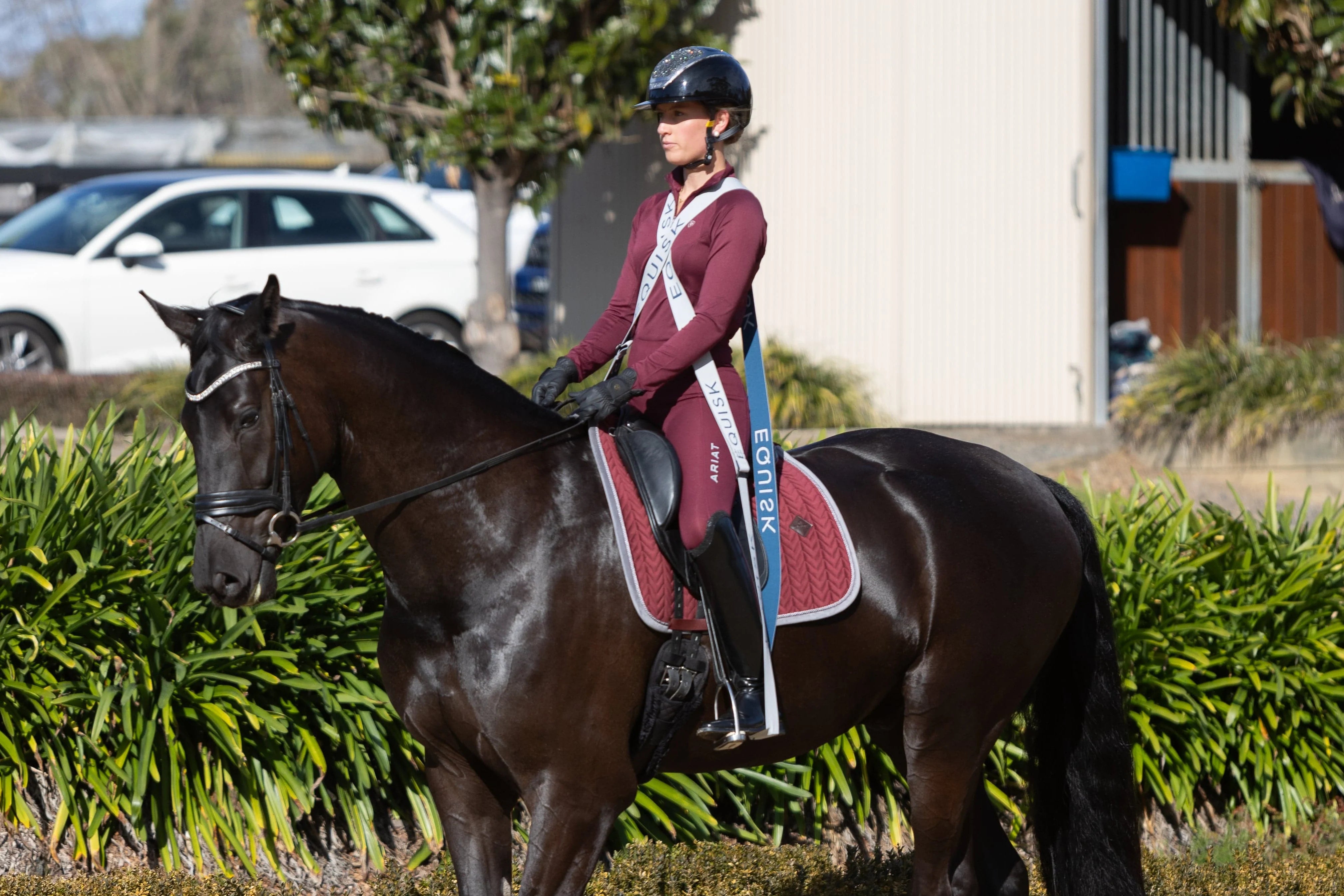 Equisk EngagedRider Weerstandsbanden