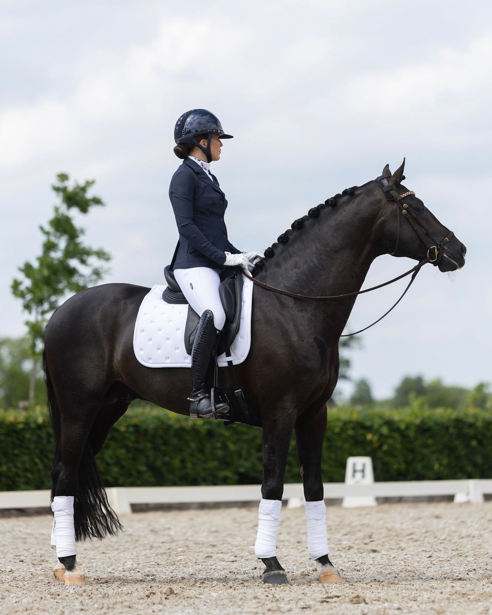 Maximilian Stamp Dressuur Zadeldek (Wit)