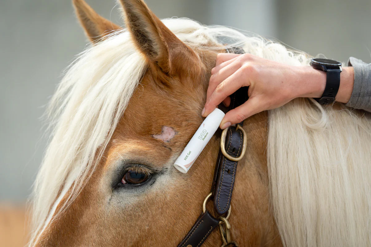 Doderm SOS Hydro RepairGel