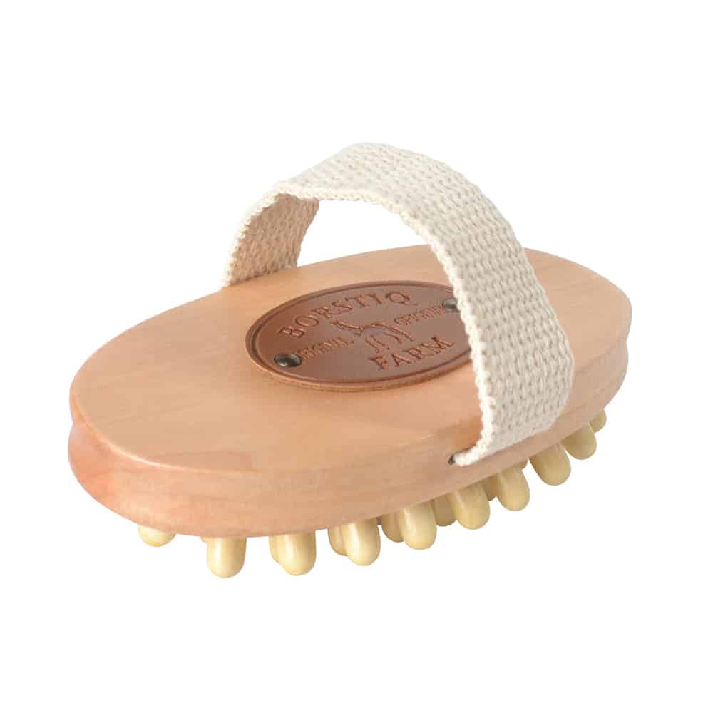 Borstiq Massageborstel