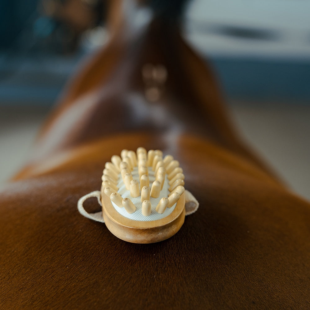 Borstiq Massageborstel