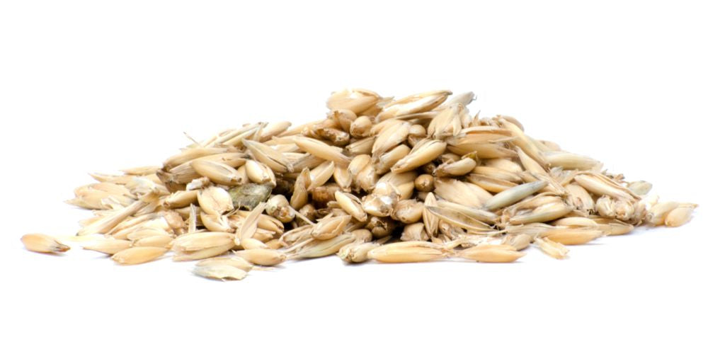 Horsefood Geplette Haver