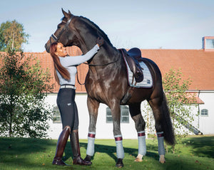 Equito Base Layer - Platinum Grey