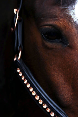 Crystal Crown Halster - Luxury Rose - Horse Musthaves