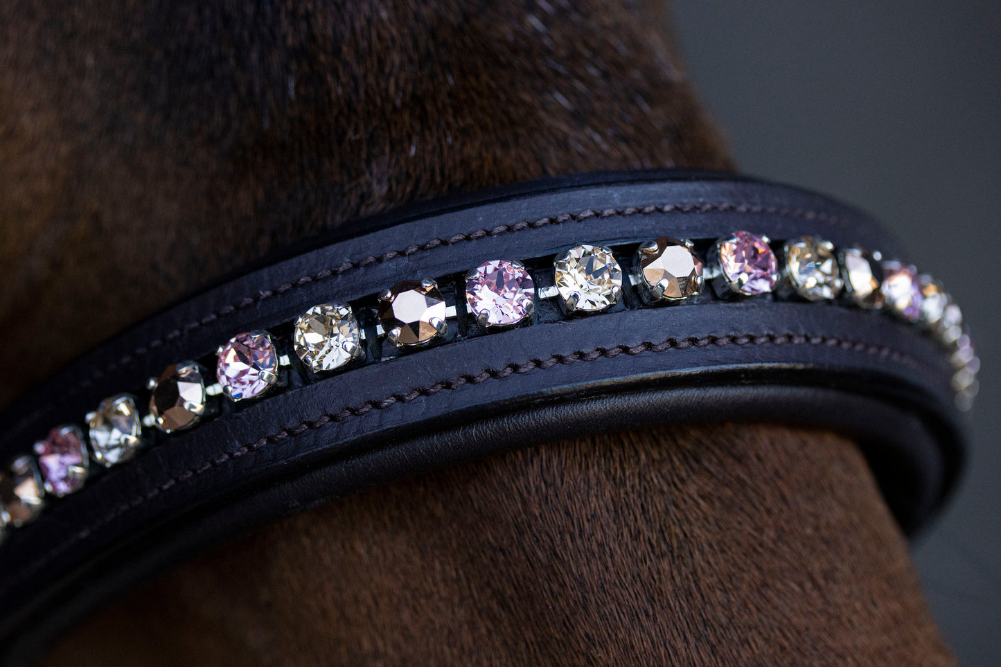 Crystal Crown Halster - Queen Elizabeth - Horse Musthaves