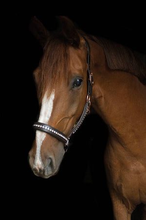Crystal Crown Halster - Rosé Patina - Horse Musthaves