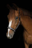 Crystal Crown Halster - Rosé Patina - Horse Musthaves