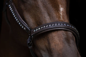 Crystal Crown Halster - Black Opium - Horse Musthaves