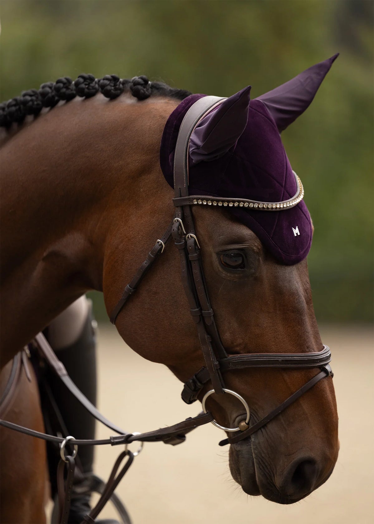 Maximilian Velvet Oornetje (Amethyst)