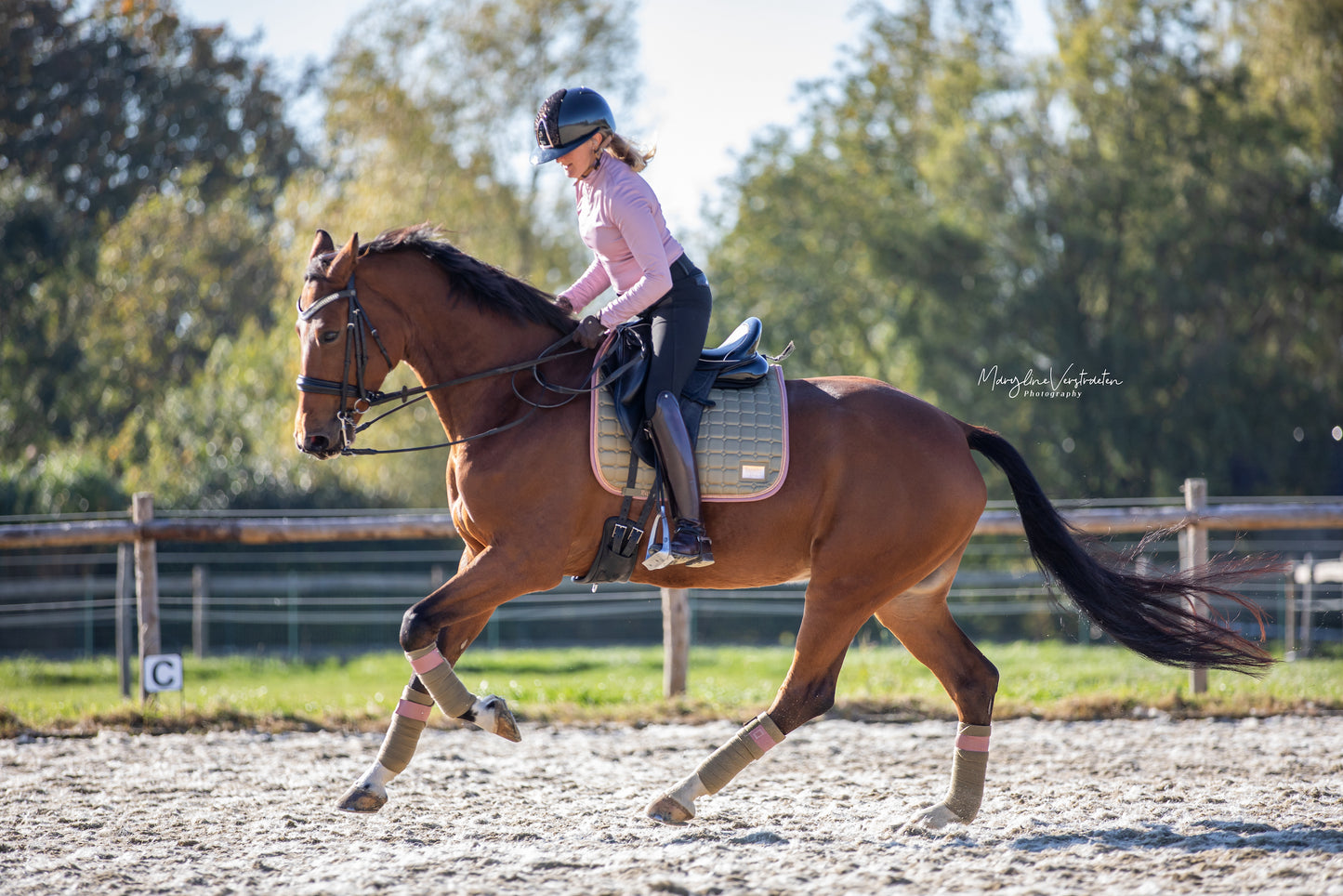 Equito Bandages - Olive Blush - Horse Musthaves