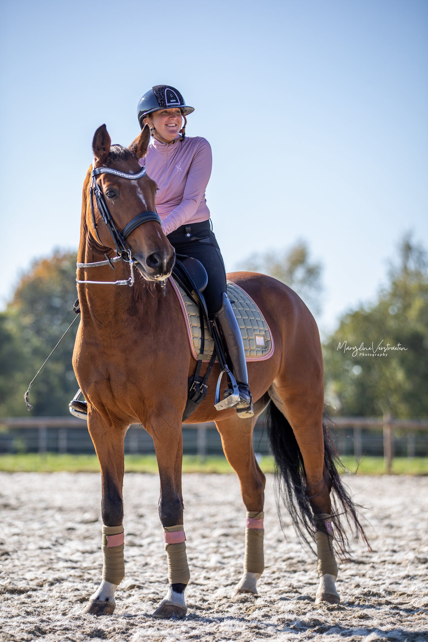 Equito Bandages - Olive Blush - Horse Musthaves