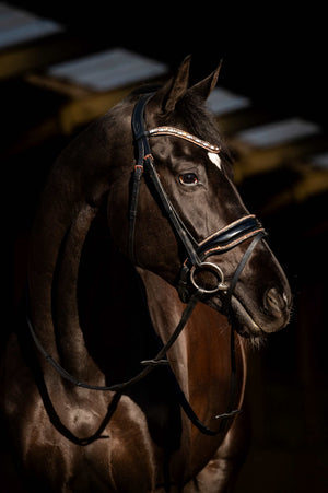 HB Showtime Hoofdstel Copper Sky