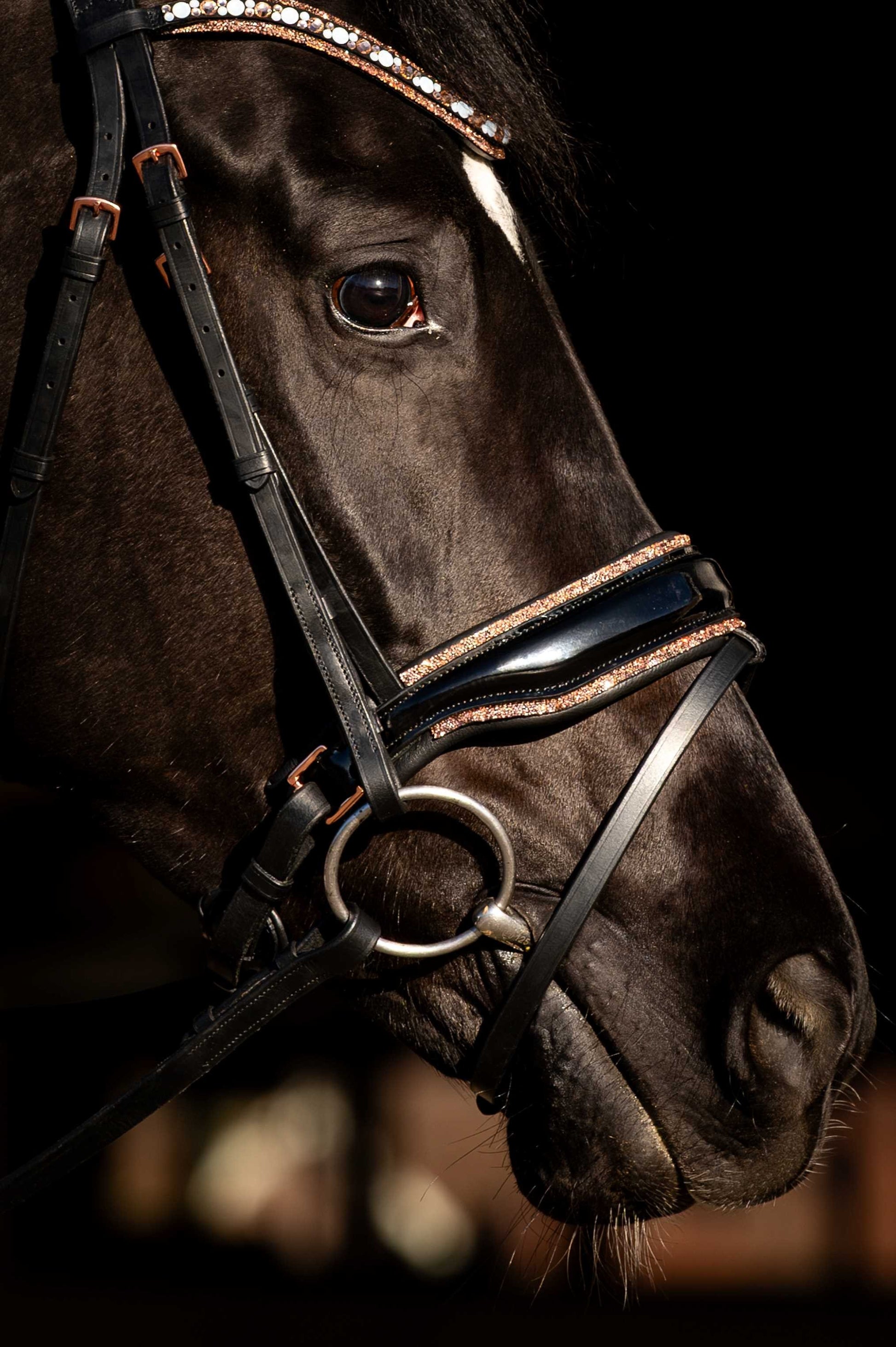 HB Showtime Hoofdstel Copper Sky