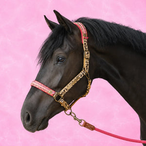 DWAM  Gypsy Halster