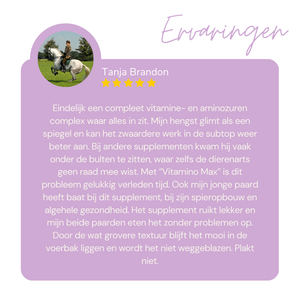 Paddy's Vitamino Max