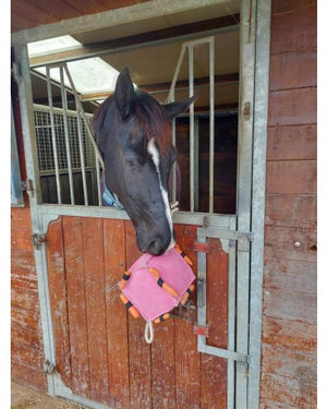 HB Showtime HorseToys Cube