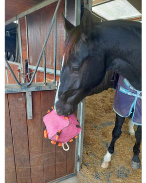 HB Showtime HorseToys Cube