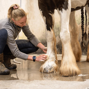 Doderm Alpaca Shampoo Bar voor Paarden
