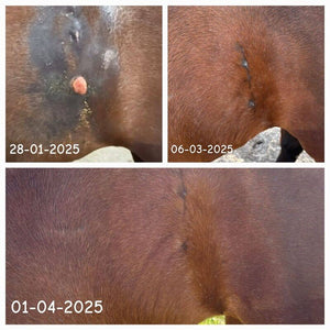 Doderm Hydro RepairGel Horse