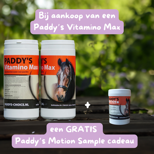 Paddy's Vitamino Max