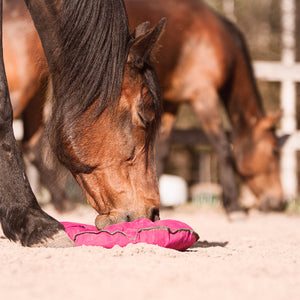 Heica Fluffy Feeder