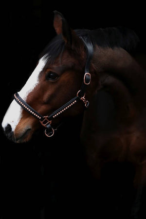 Crystal Crown Halster - Luxury Rose - Horse Musthaves