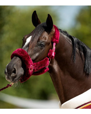 HB Showtime Rose Gold Halster Fluffy Burgundy