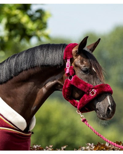 HB Showtime Rose Gold Halster Fluffy Burgundy