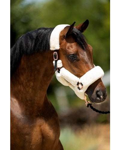 HB Showtime Rose Gold Halster Fluffy
