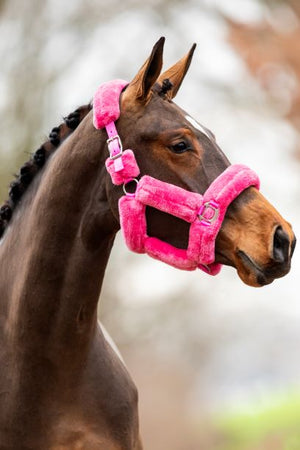 HB Showtime Halster Teddy Roze