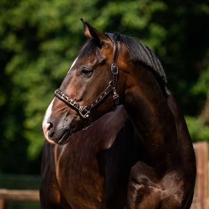 HB Showtime Lederen Halster Luipaard