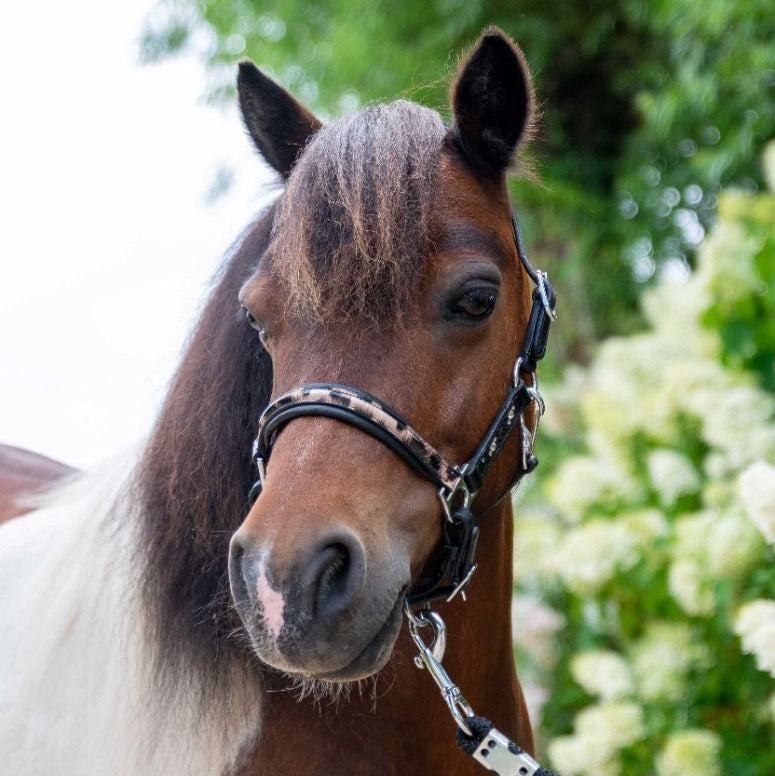 HB Showtime Lederen Halster Luipaard Little Sizes