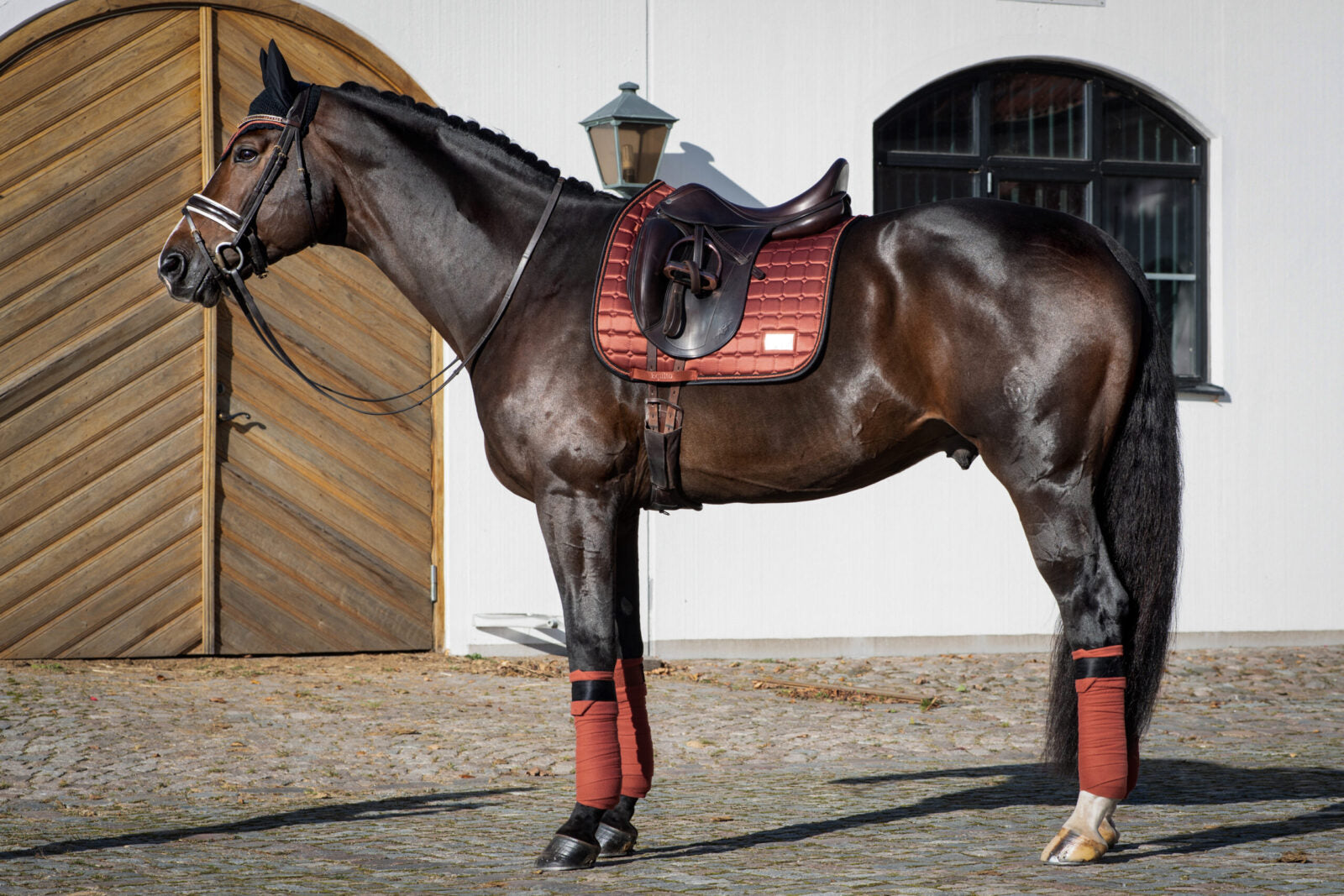 Equito Dressuur Zadeldek (Cinnamon Spice)