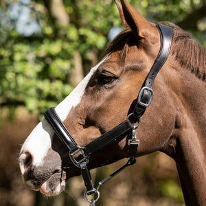 HB Showtime Halster Glitty (Zwart)