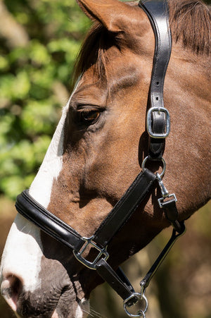 HB Showtime Halster Glitty (Zwart)
