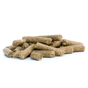 Horsefood Basis-Sportbrok