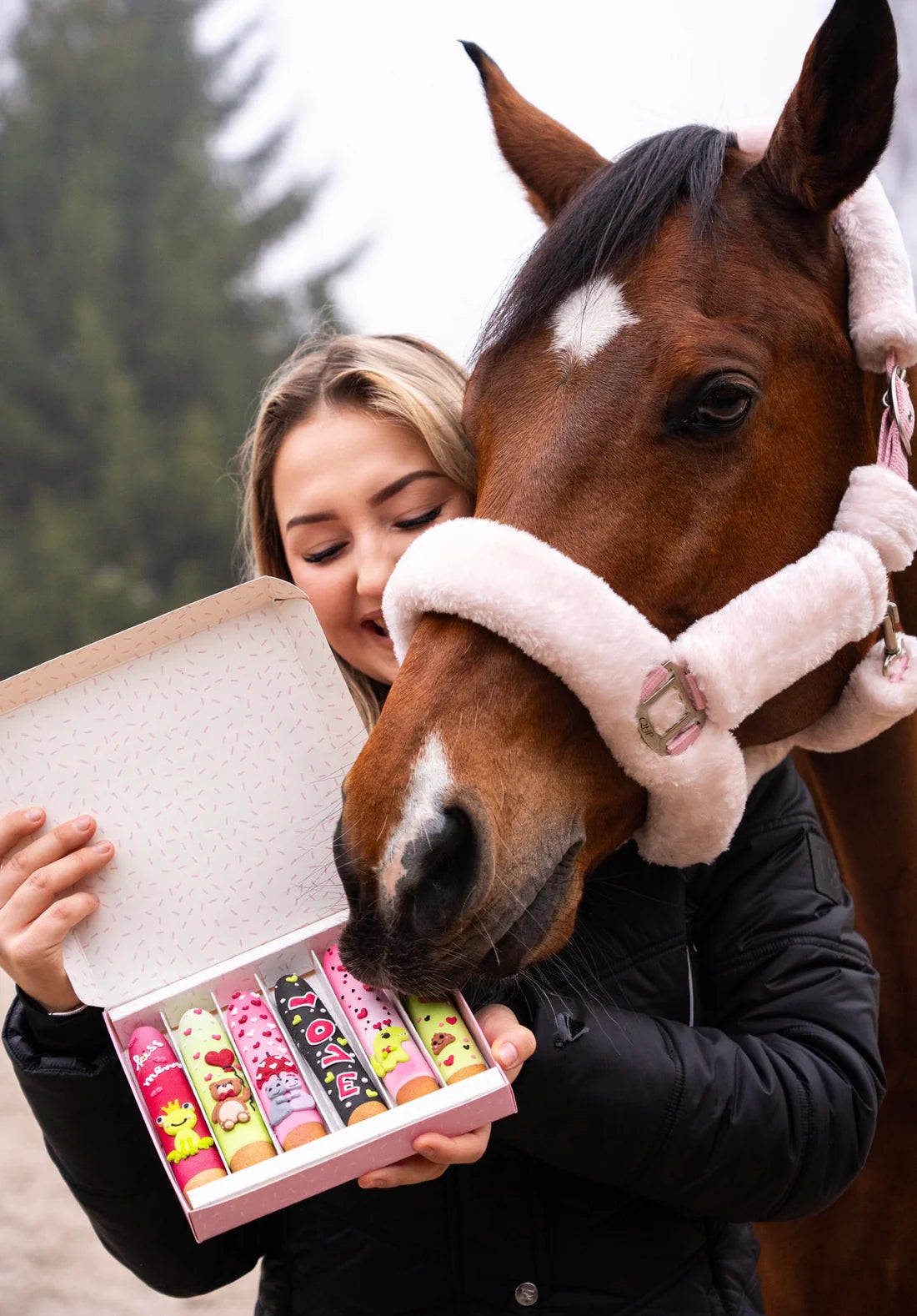 Candy Horse Valentine Iced Sticks