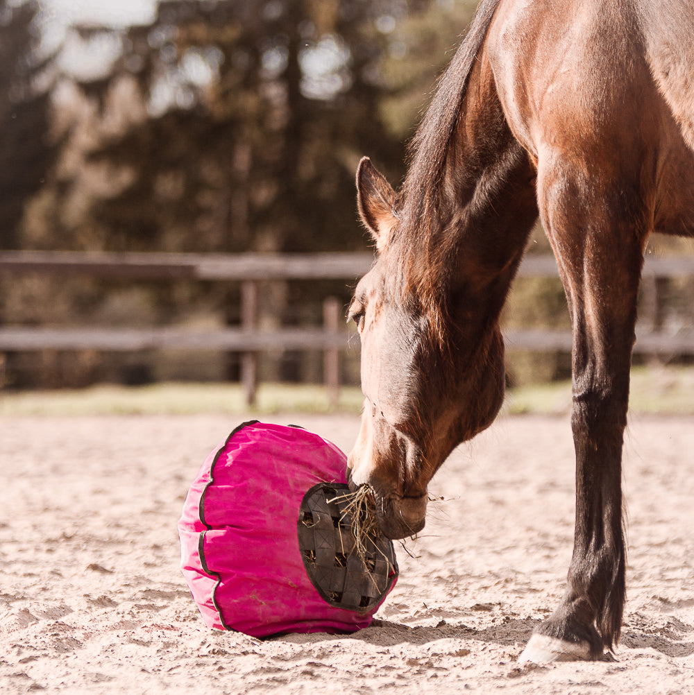 Heica Fluffy Feeder