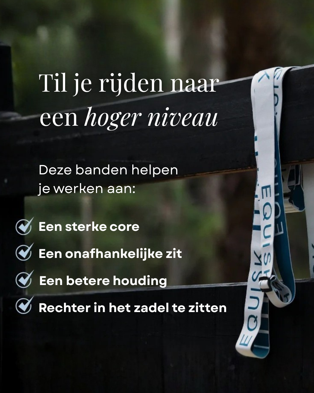Equisk EngagedRider Weerstandsbanden