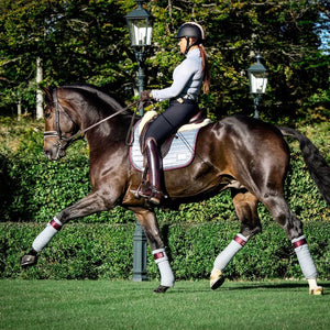 Equito Base Layer - Platinum Grey