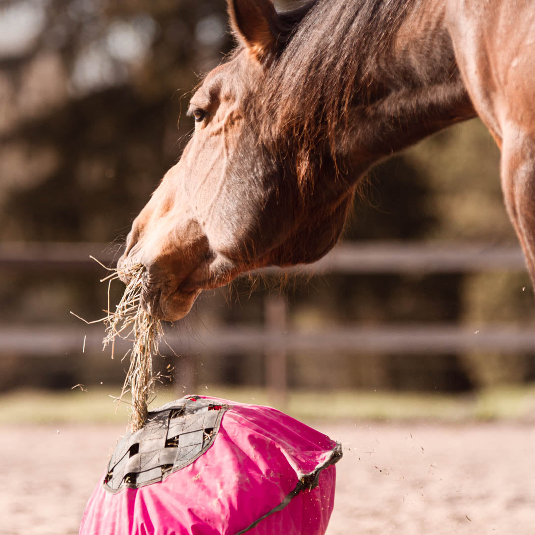 Heica Fluffy Feeder