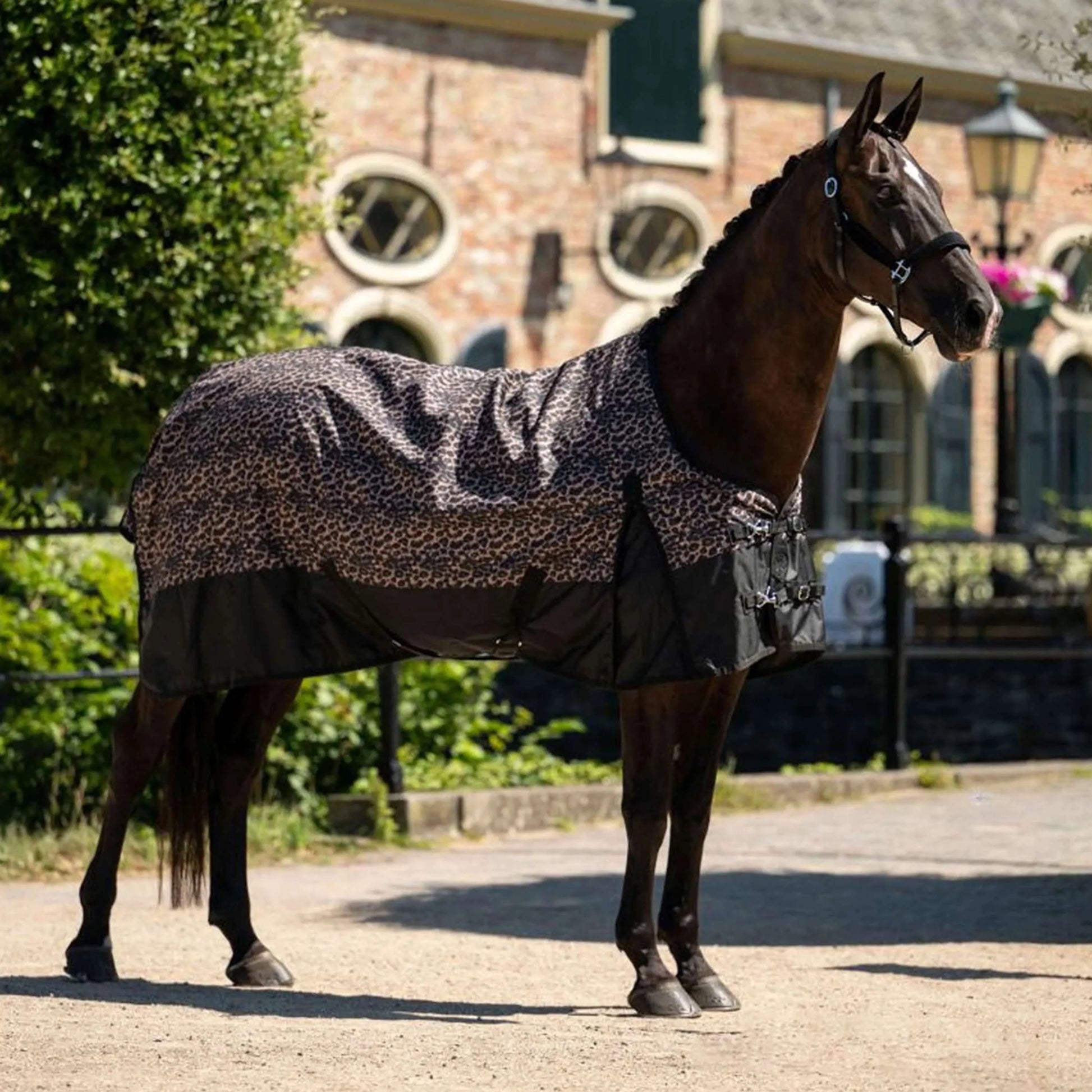 HB Outdoor Luipaard