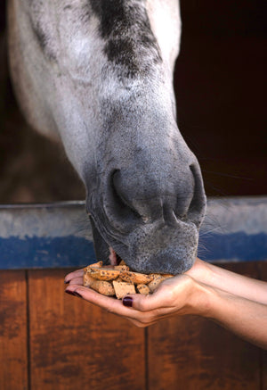 Candy Horse Hooves Appel & Munt