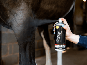 Smart Grooming Cover Up Spray