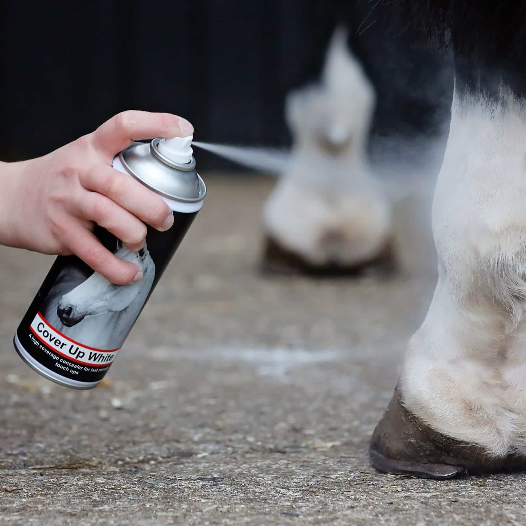 Smart Grooming Cover Up Spray