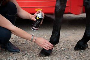 Smart Grooming Cover Up Spray