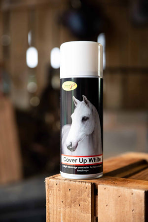 Smart Grooming Cover Up Spray