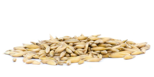 Horsefood Gepunte Haver