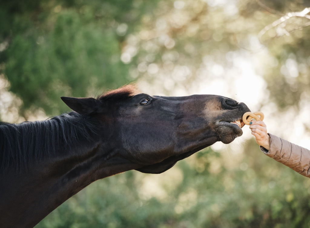 Candy Horse Kruiden Pretzels